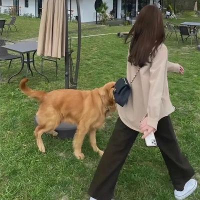 民权领袖
